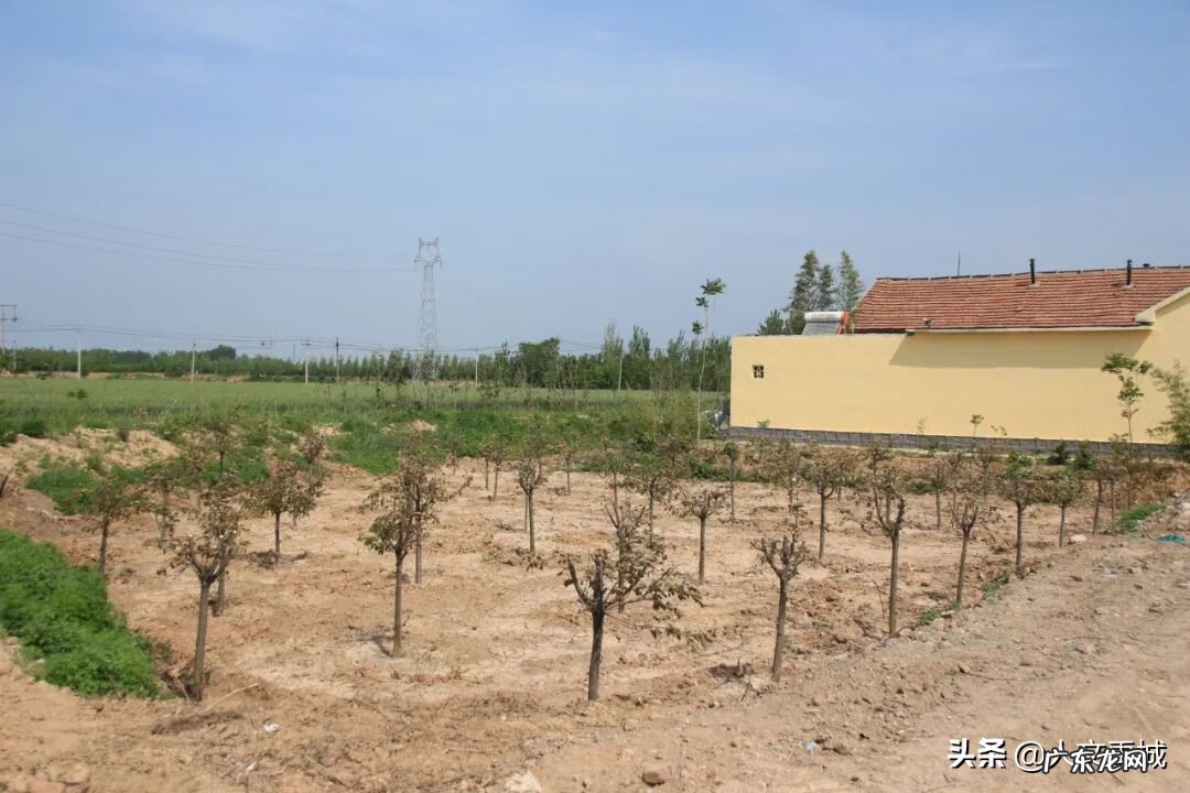 禹洲地产怎么样 禹城风水最好的地方