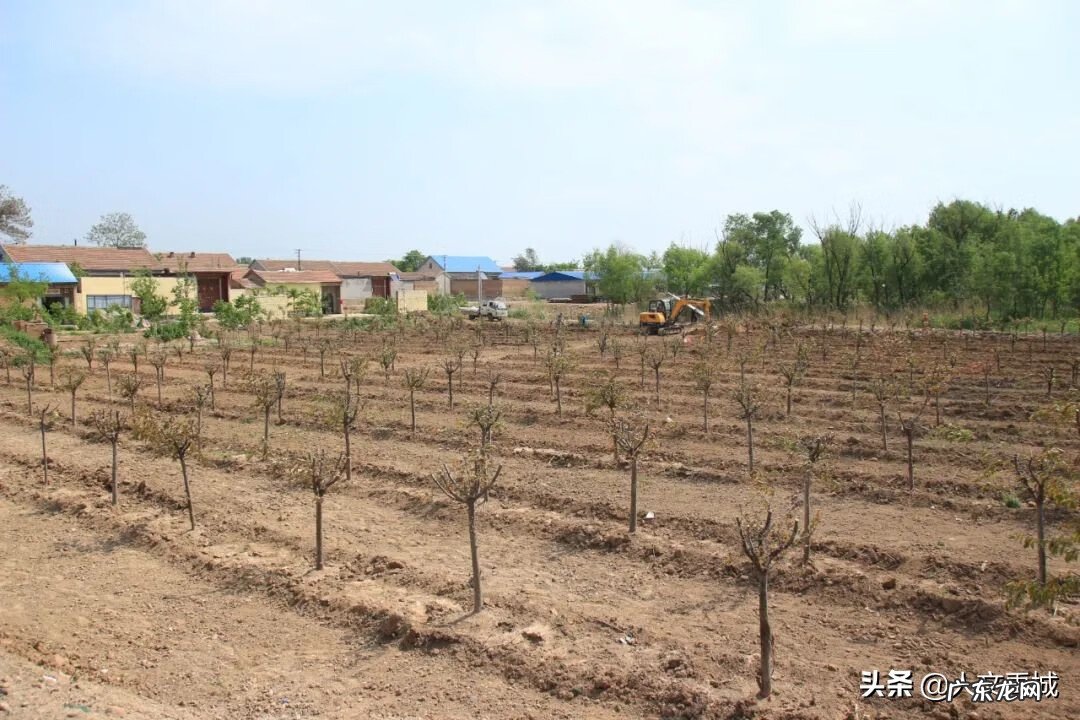 禹洲地产怎么样 禹城风水最好的地方
