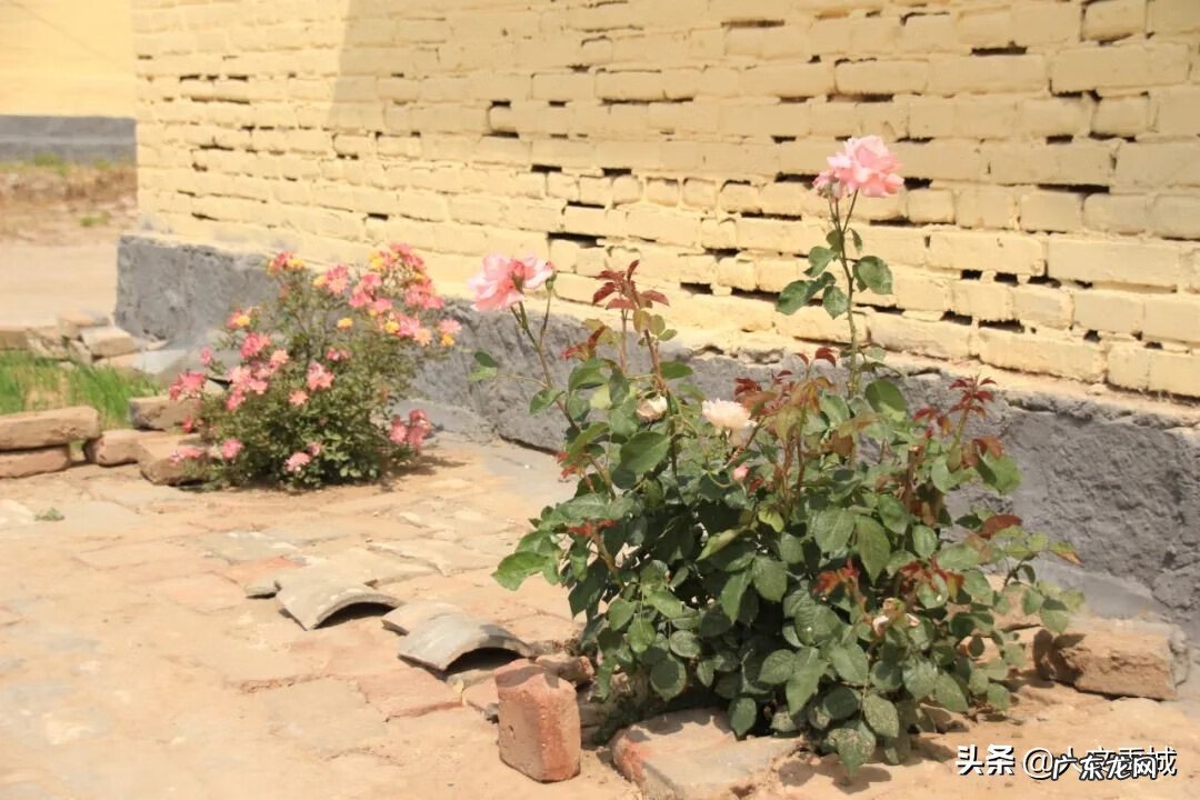 禹洲地产怎么样 禹城风水最好的地方