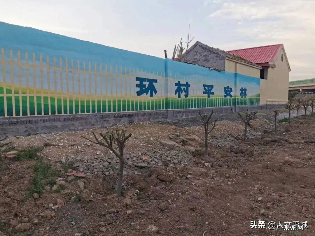 禹洲地产怎么样 禹城风水最好的地方