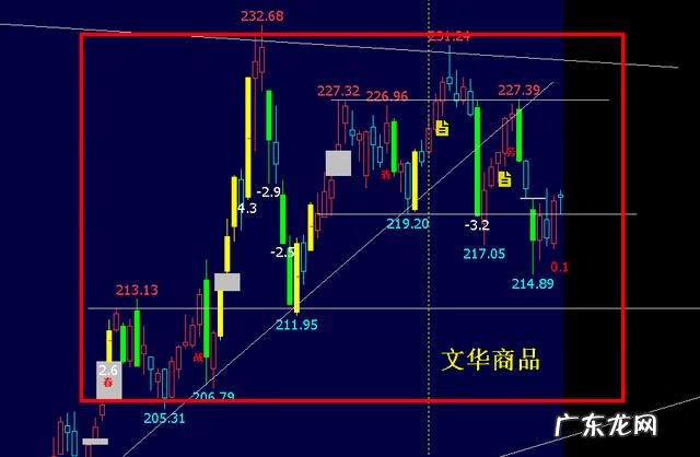春节特色活动 春节活动总结