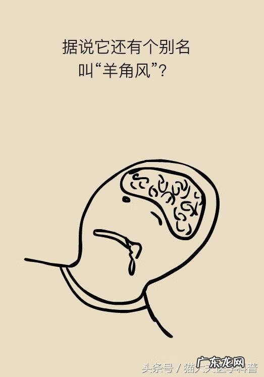 癫疯病是怎么引起 癫痫病是怎么回事