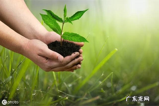 绿色生态发展口号 绿色环保口号有哪些