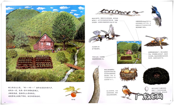 家门口有鸟筑巢意味着什么 家门树上有鸟巢