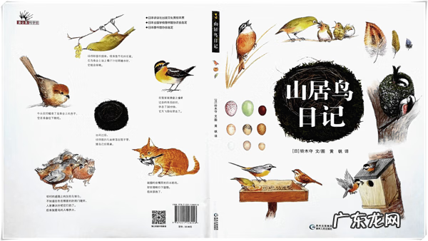 家门口有鸟筑巢意味着什么 家门树上有鸟巢