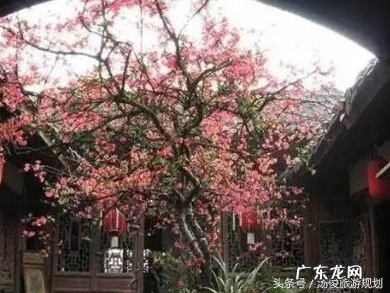 别墅园林 园林 风水