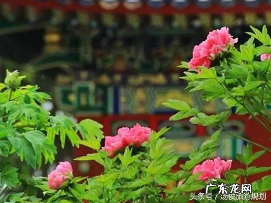 别墅园林 园林 风水