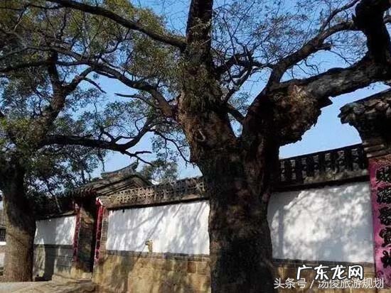 别墅园林 园林 风水