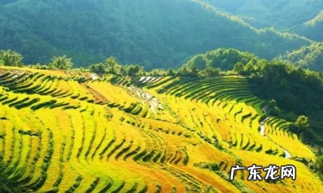 梧州风水宝地留题地 广西梧州十大风水宝地