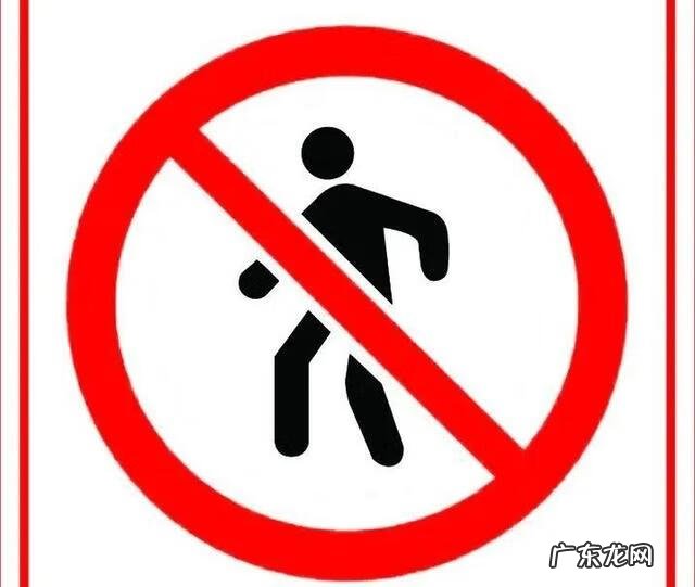 交通安全教育 交通安全知识教育