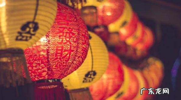 六街灯火闹儿童指的是什么动物 六街灯火闹儿童的意思