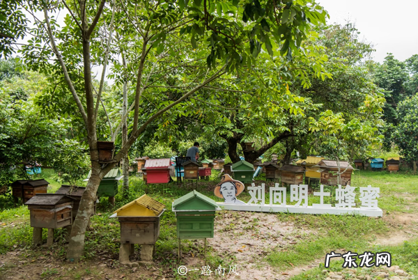 揭西县经济怎么样 揭西县客家人的风水地