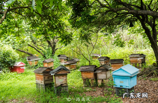 揭西县经济怎么样 揭西县客家人的风水地