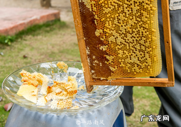 揭西县经济怎么样 揭西县客家人的风水地