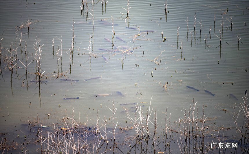 水库与建房风水 户县四季水库风水