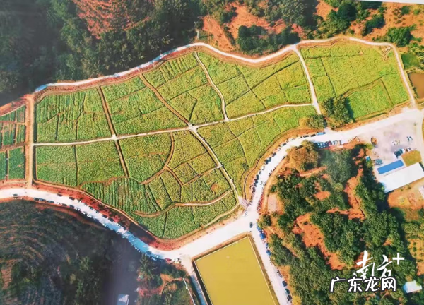 化州市合江镇六王风水宝地 化州平定镇香山村的风水宝地