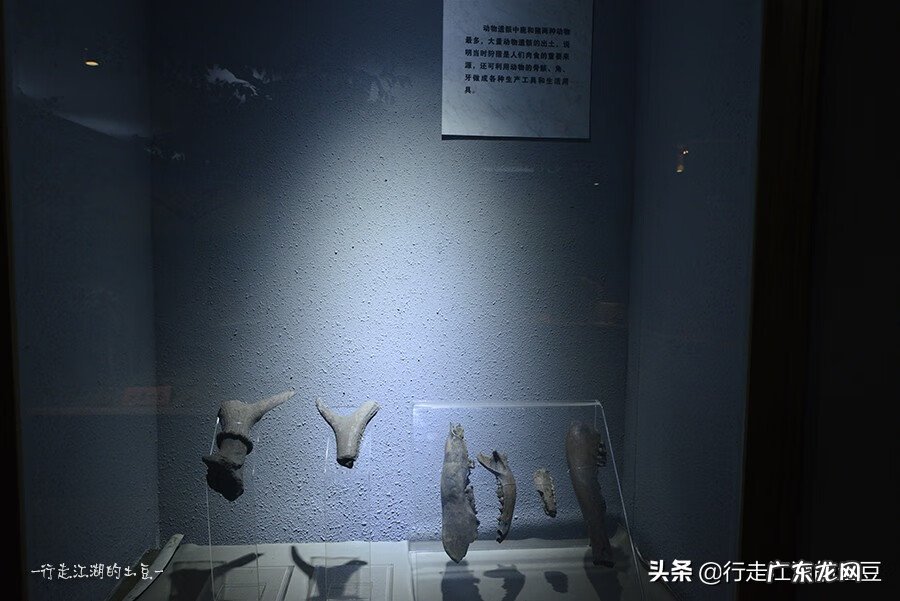 吴江水务集团招聘 吴江的风水