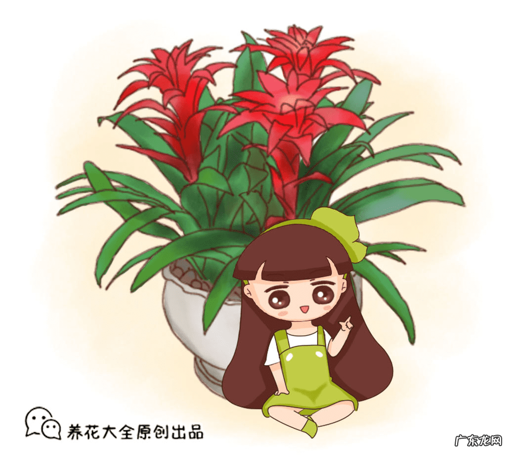 出女贵人的风水必备条件 朵朵贵人特别多红姐自带风水