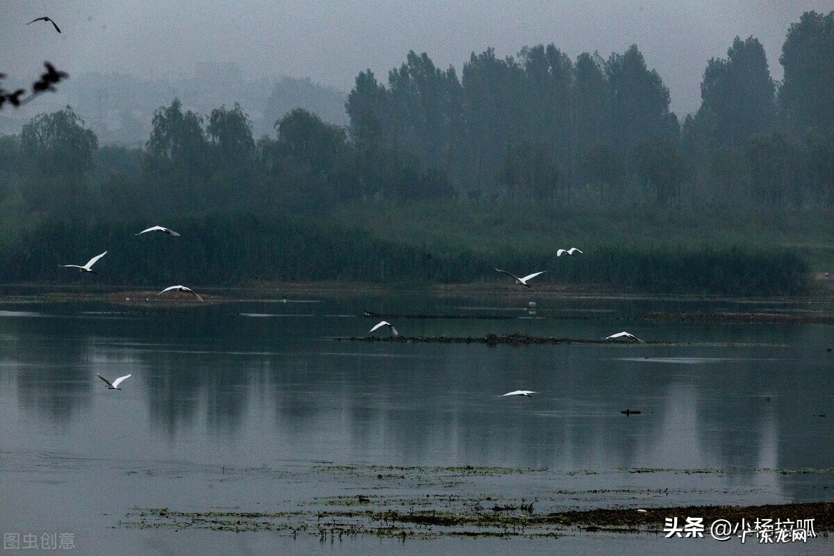 泰州风水宝地 山东新泰风水穴地