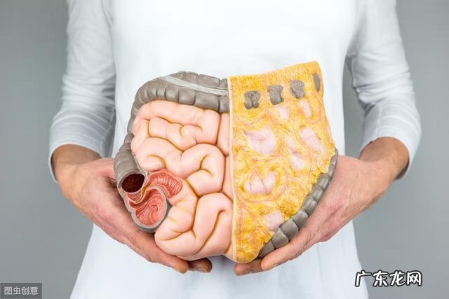 肚子经常胀气怎么调理 肚子胀胀的腹部不舒服怎么办想吐