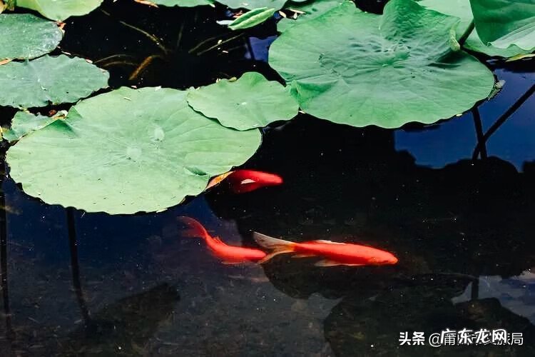 莆田风水 莆田风水最好的地方