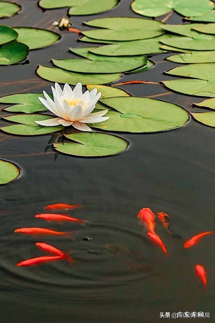 莆田风水 莆田风水最好的地方