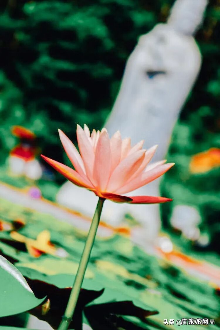 莆田风水 莆田风水最好的地方