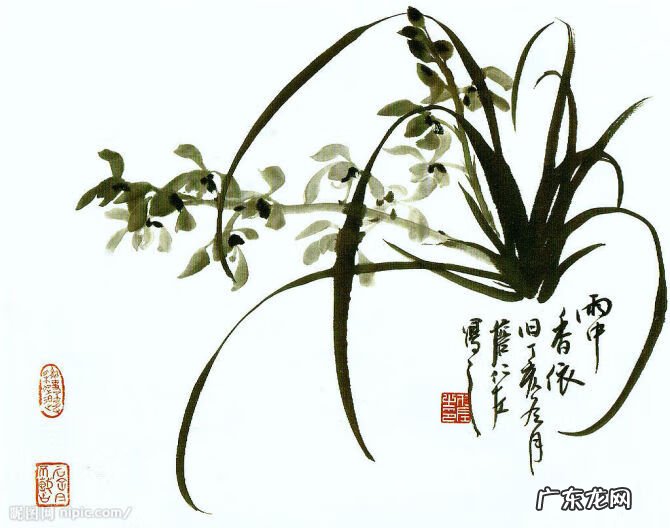水墨兰花 水墨兰花草图片