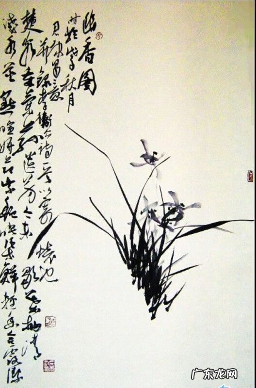 水墨兰花 水墨兰花草图片