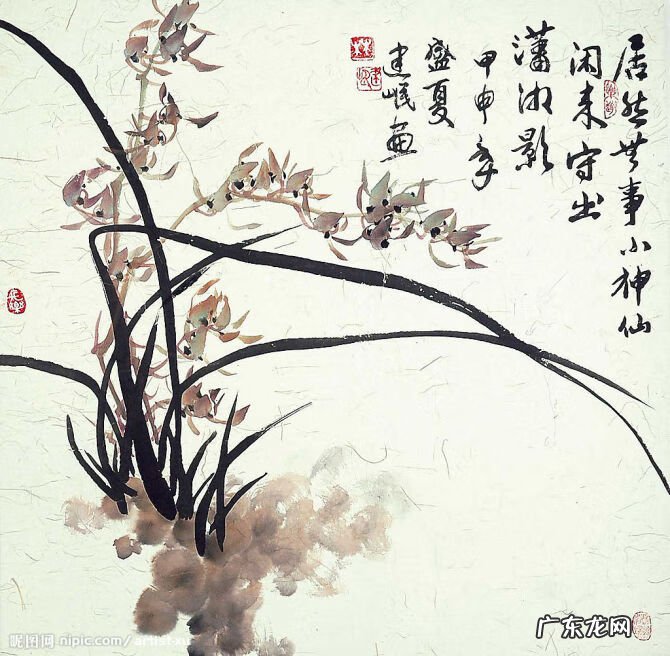 水墨兰花 水墨兰花草图片