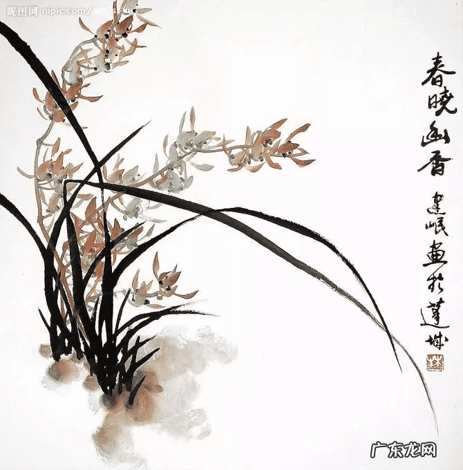 水墨兰花 水墨兰花草图片