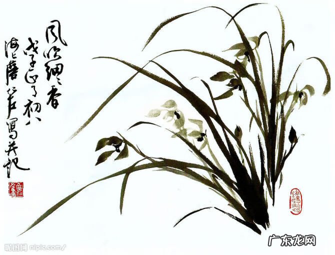水墨兰花 水墨兰花草图片