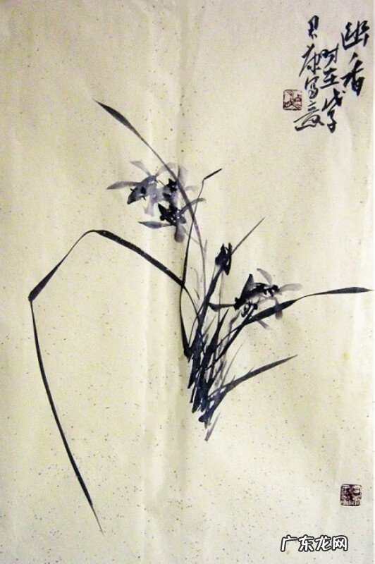 水墨兰花 水墨兰花草图片