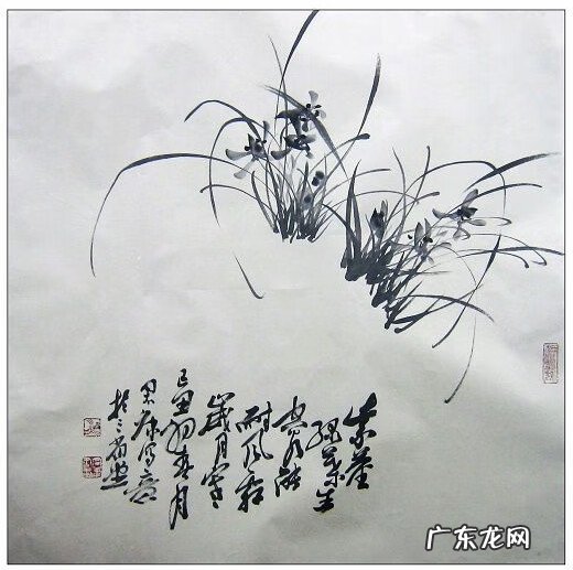 水墨兰花 水墨兰花草图片