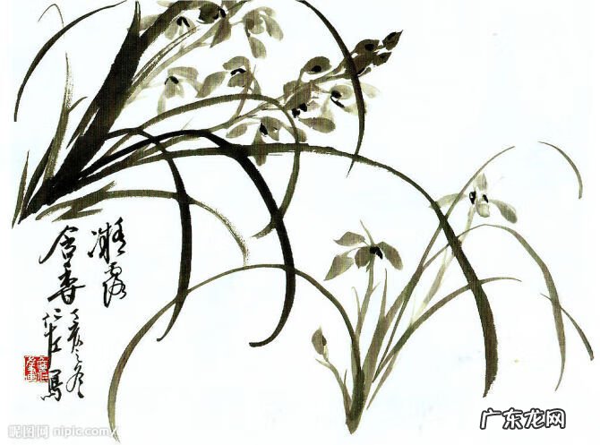 水墨兰花 水墨兰花草图片