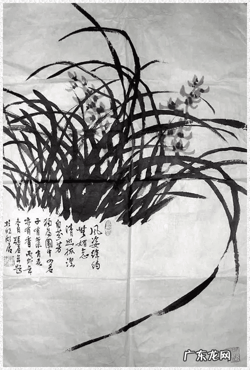 水墨兰花 水墨兰花草图片