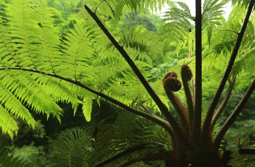 宜宾风水宝地有哪些 四川最大风水宝地宜宾