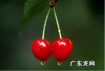 国内最大取英文名网站 取英文名的网站