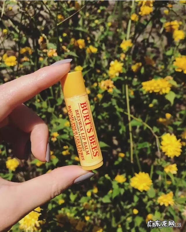 burtsbees套装 burtsbees是什么东西