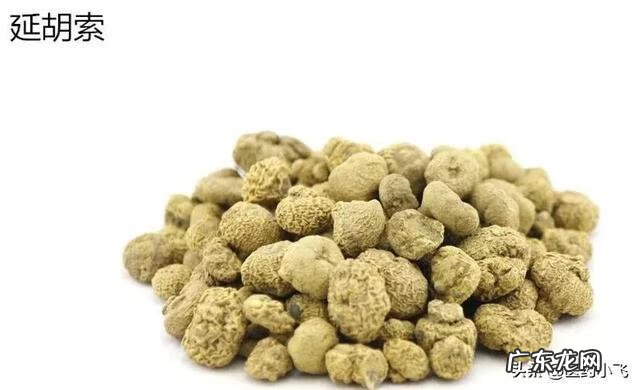 延胡索外用的功效与作用 延胡索的功效与作用图片