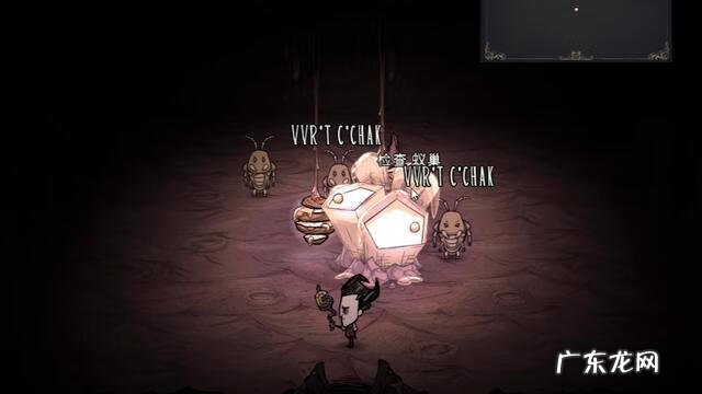 蚂蚁皇后视频 蚂蚁皇后在哪里