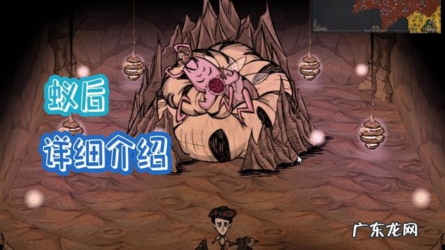 蚂蚁皇后视频 蚂蚁皇后在哪里