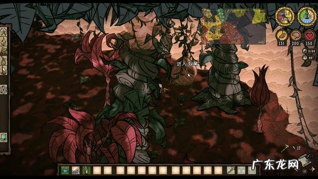 蚂蚁皇后视频 蚂蚁皇后在哪里