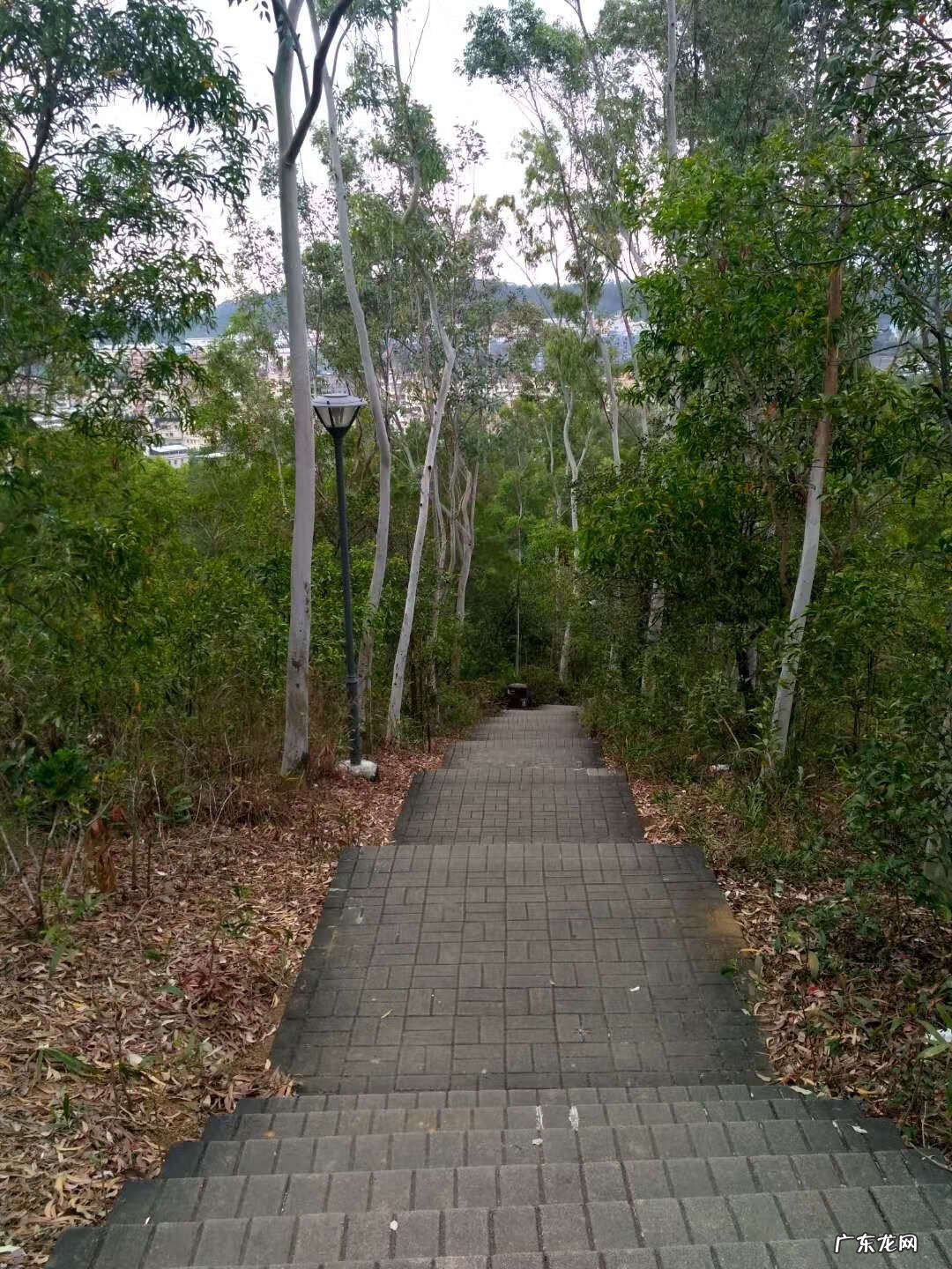 八仙岭山火 黄茆八仙岭风水地形彩图