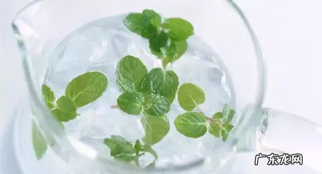 家庭保健医生 中国家庭医生大全