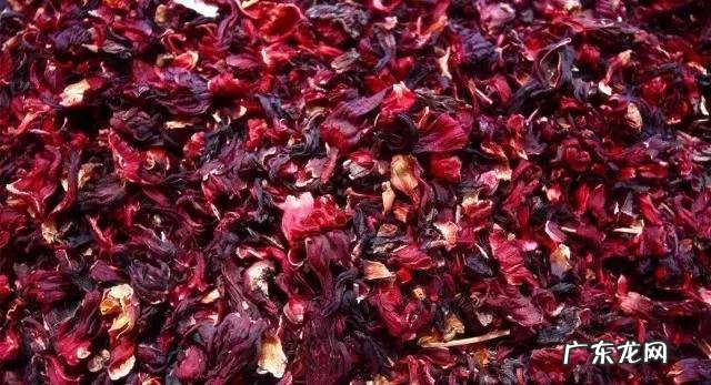 家庭保健医生 中国家庭医生大全