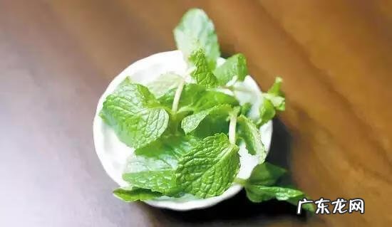 家庭保健医生 中国家庭医生大全