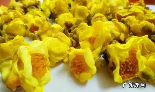 家庭保健医生 中国家庭医生大全