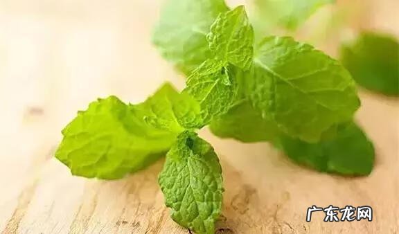 家庭保健医生 中国家庭医生大全