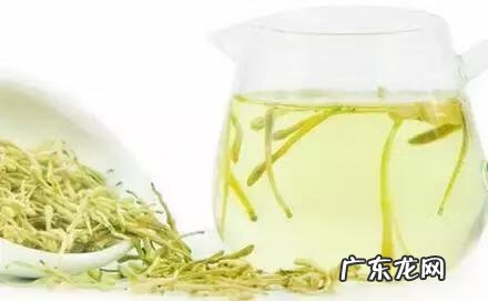 家庭保健医生 中国家庭医生大全